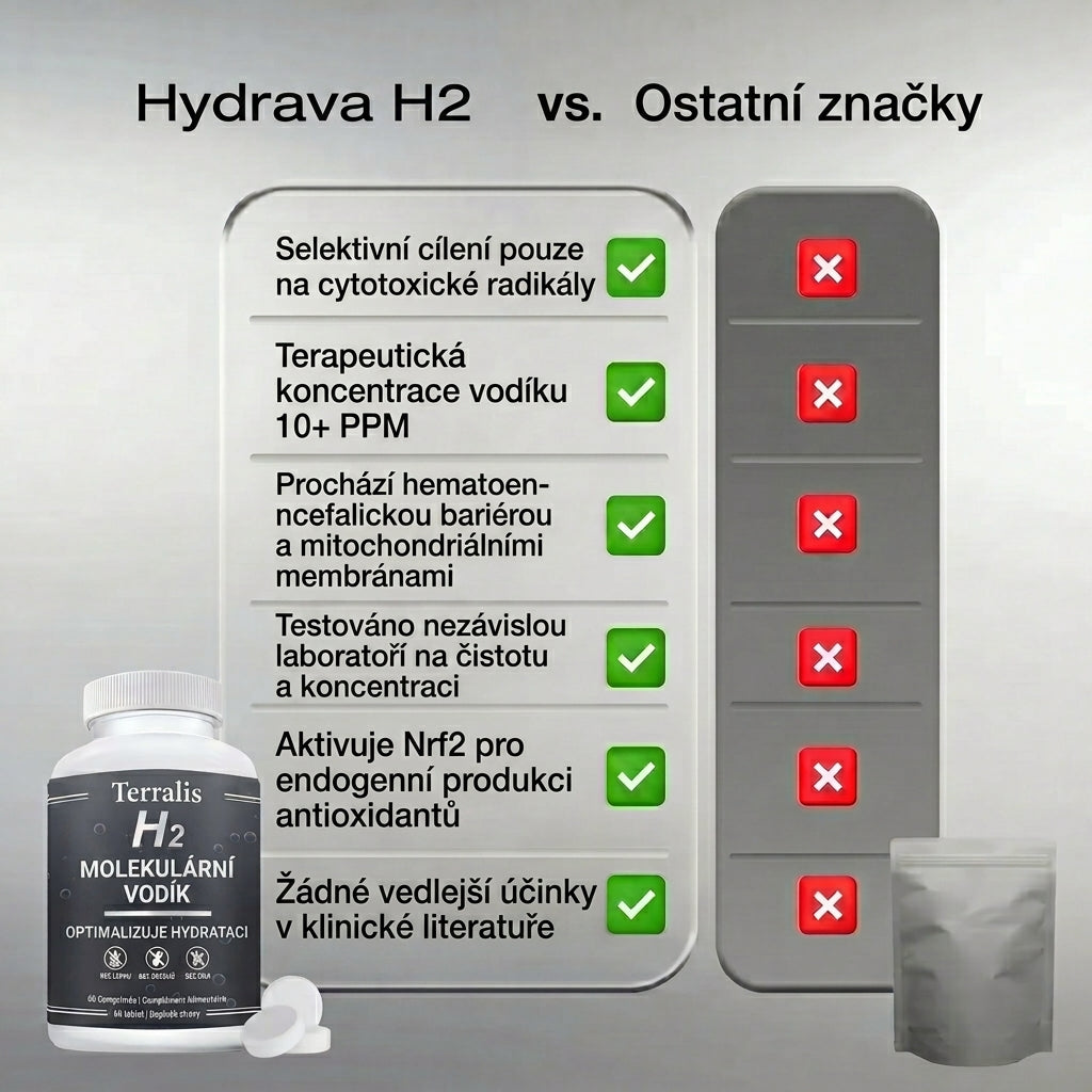 Hydrava-H2-cz