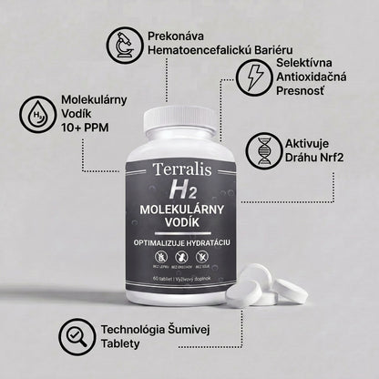 H2-svk
