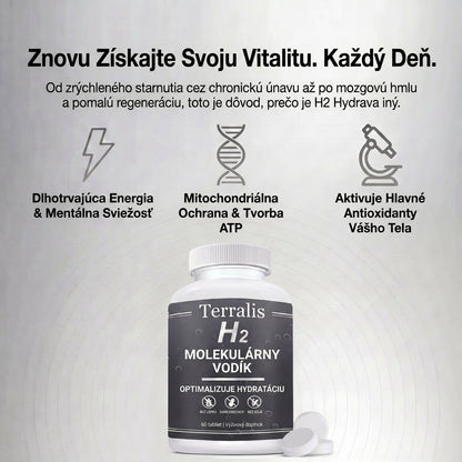 H2-svk