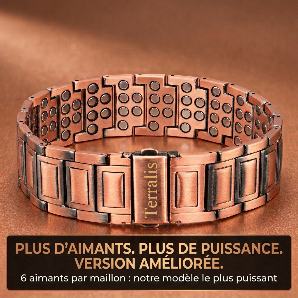 Bracelet magnétique Terralis