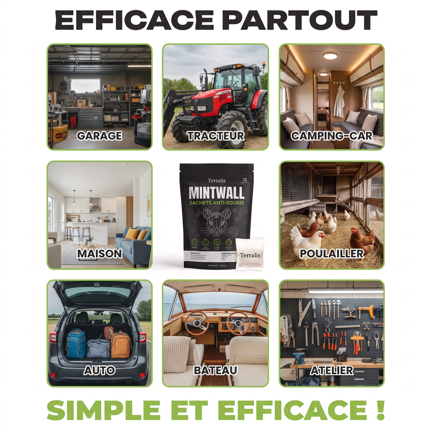 Mintwall MTW-BE