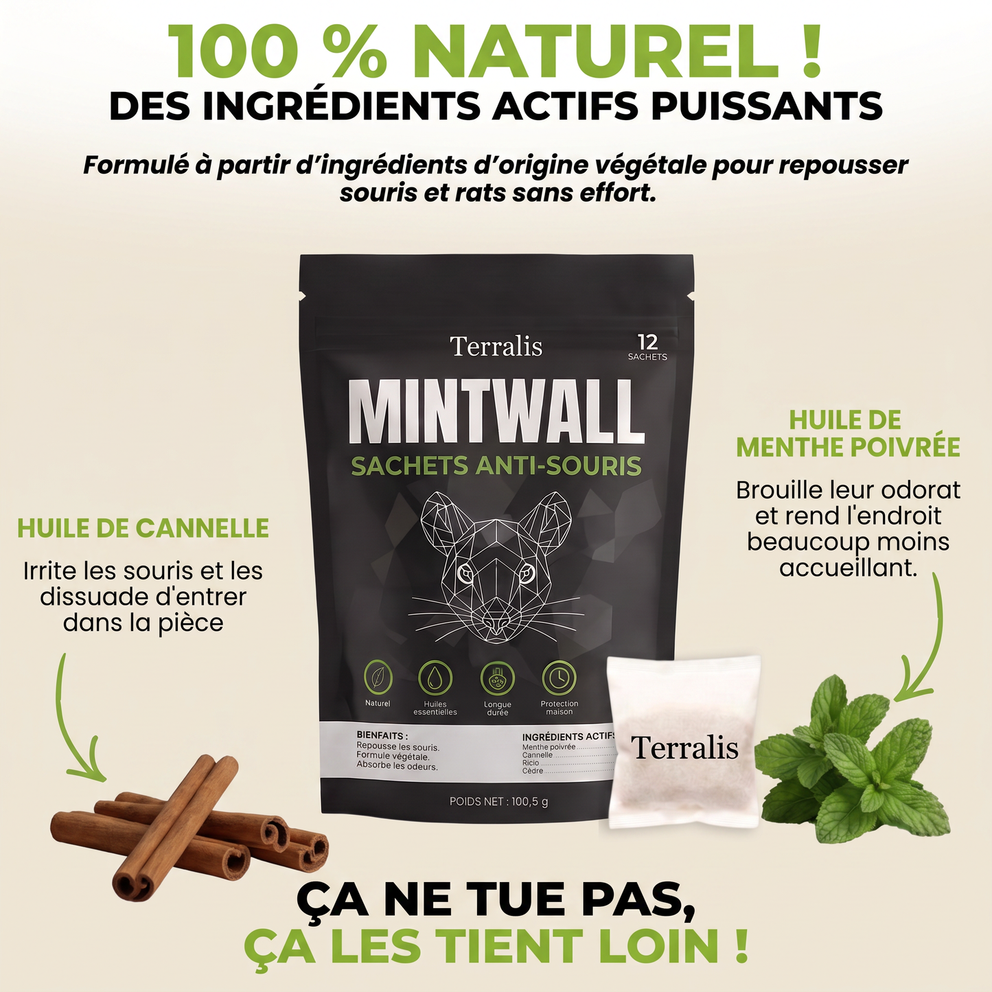 Mintwall MTW-BE