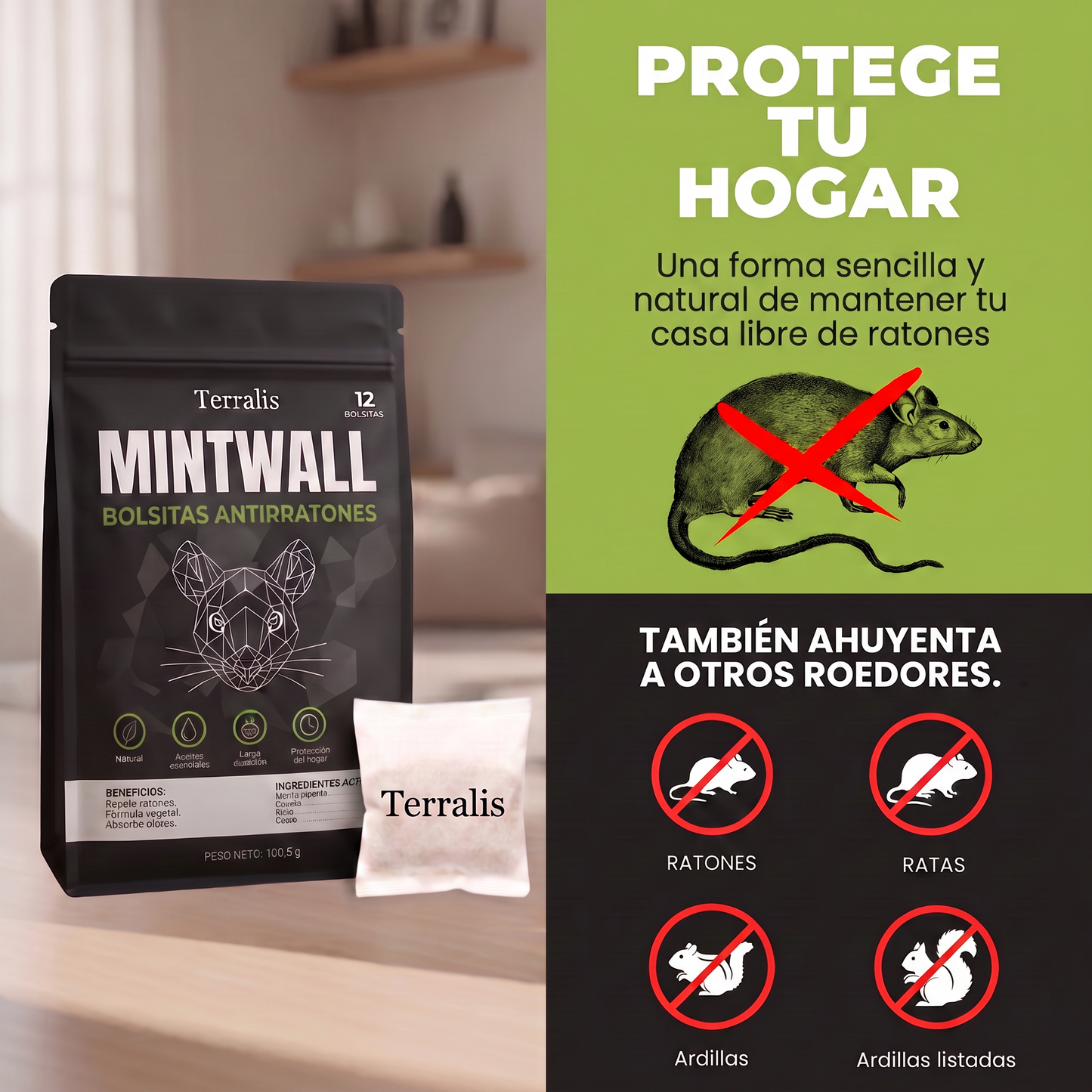 Mintwall MTW-ES
