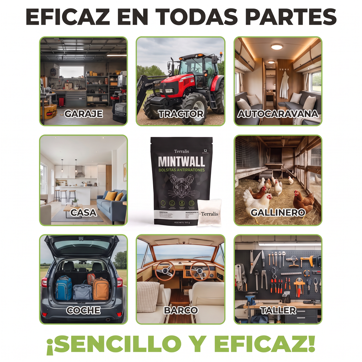 Mintwall MTW-ES