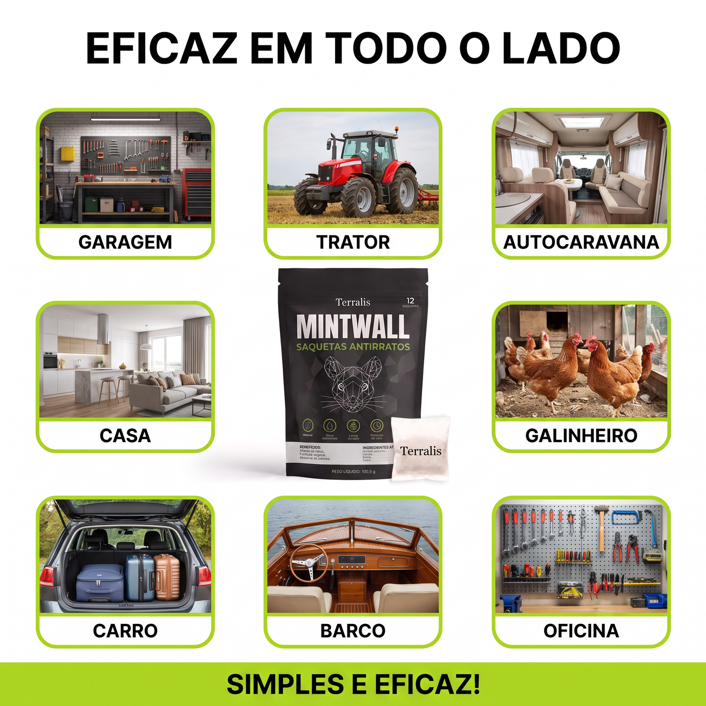 Mintwall MTW-PT