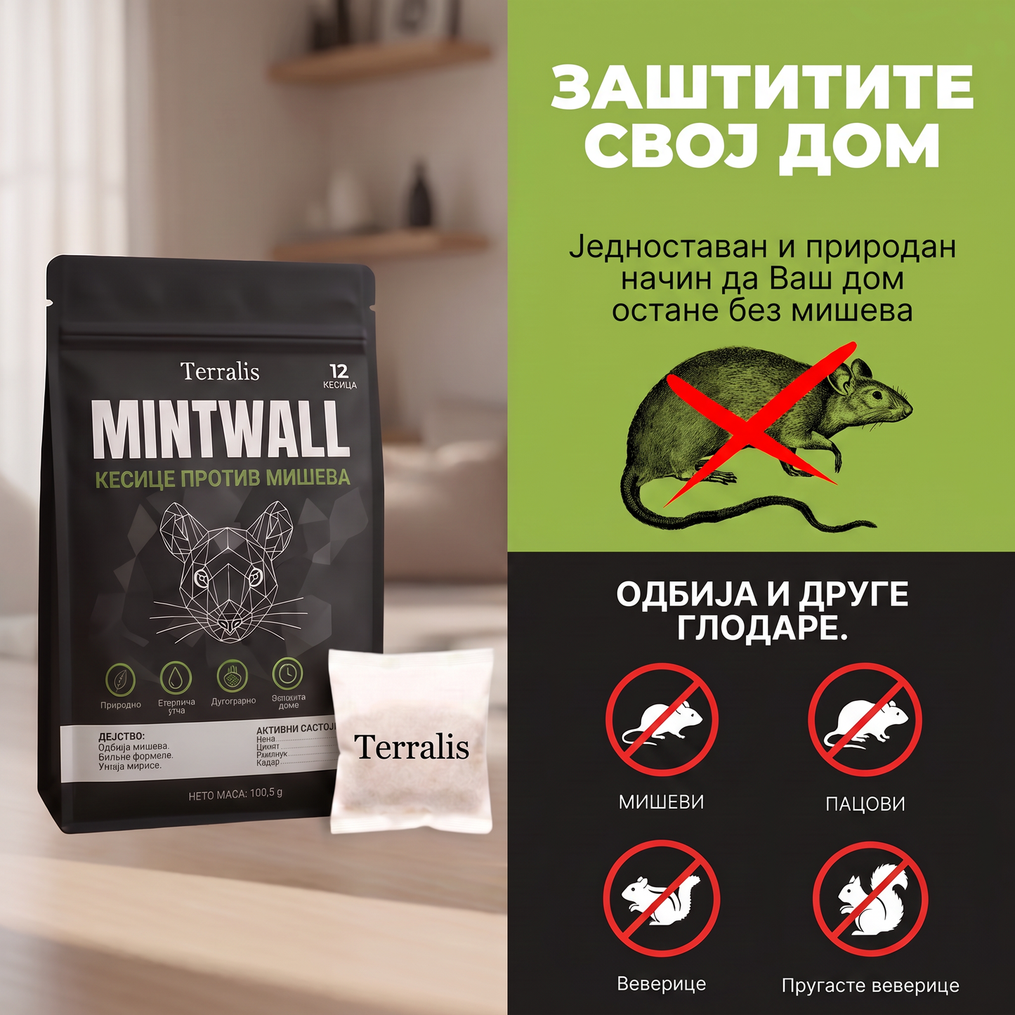 Mintwall MTW-RS