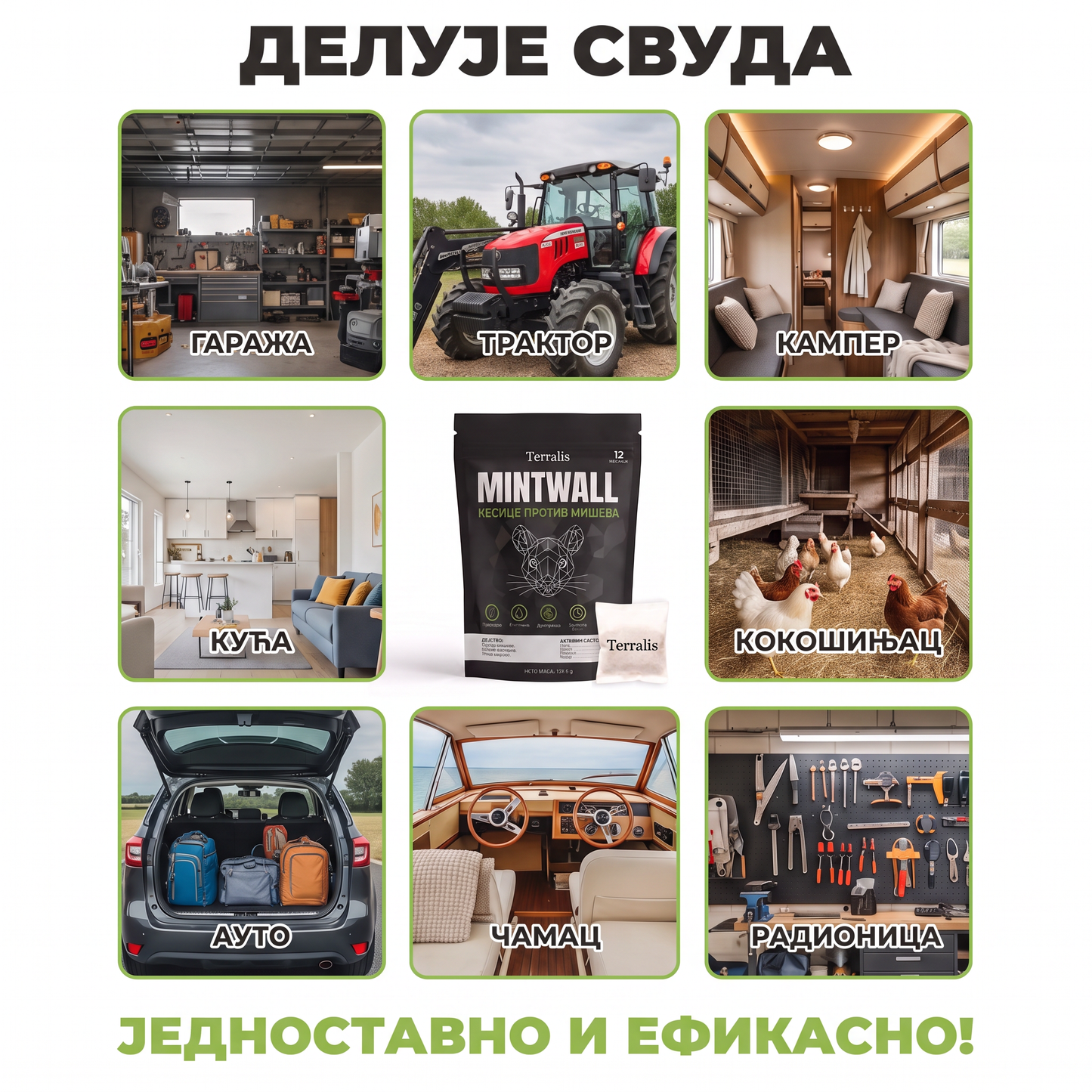 Mintwall MTW-RS