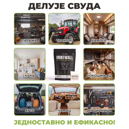 Mintwall MTW-RS