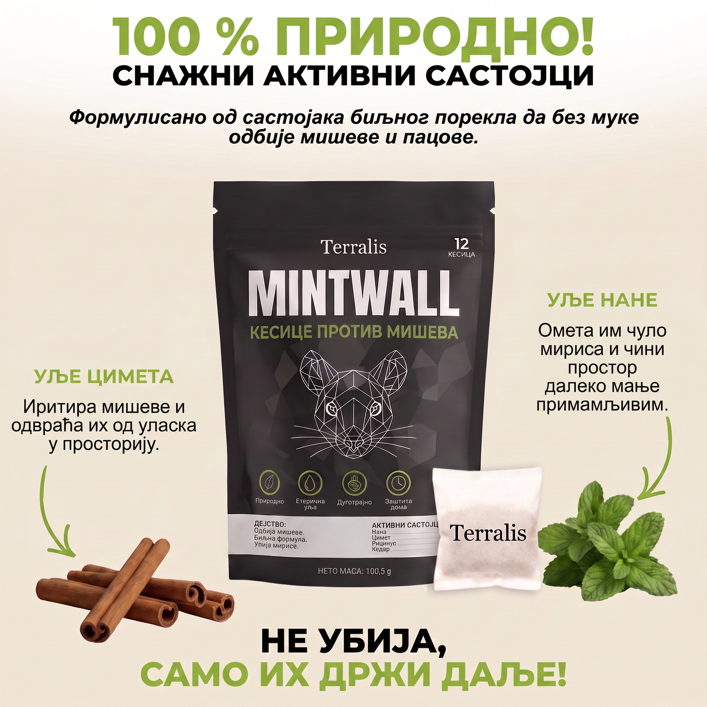 Mintwall MTW-RS